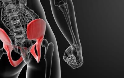 Physiotherapy for Pelvic Floor: Address Concerns and Take Control of Your Pelvic Health